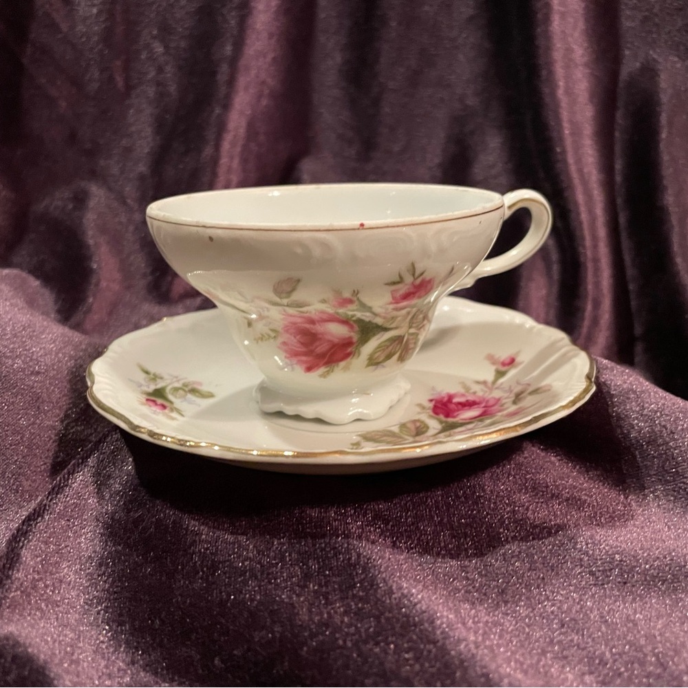 UCAGCO Vintage Old Rose Floral Teacup and Saucer Set